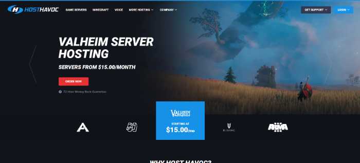 host havoc valheim server hosting