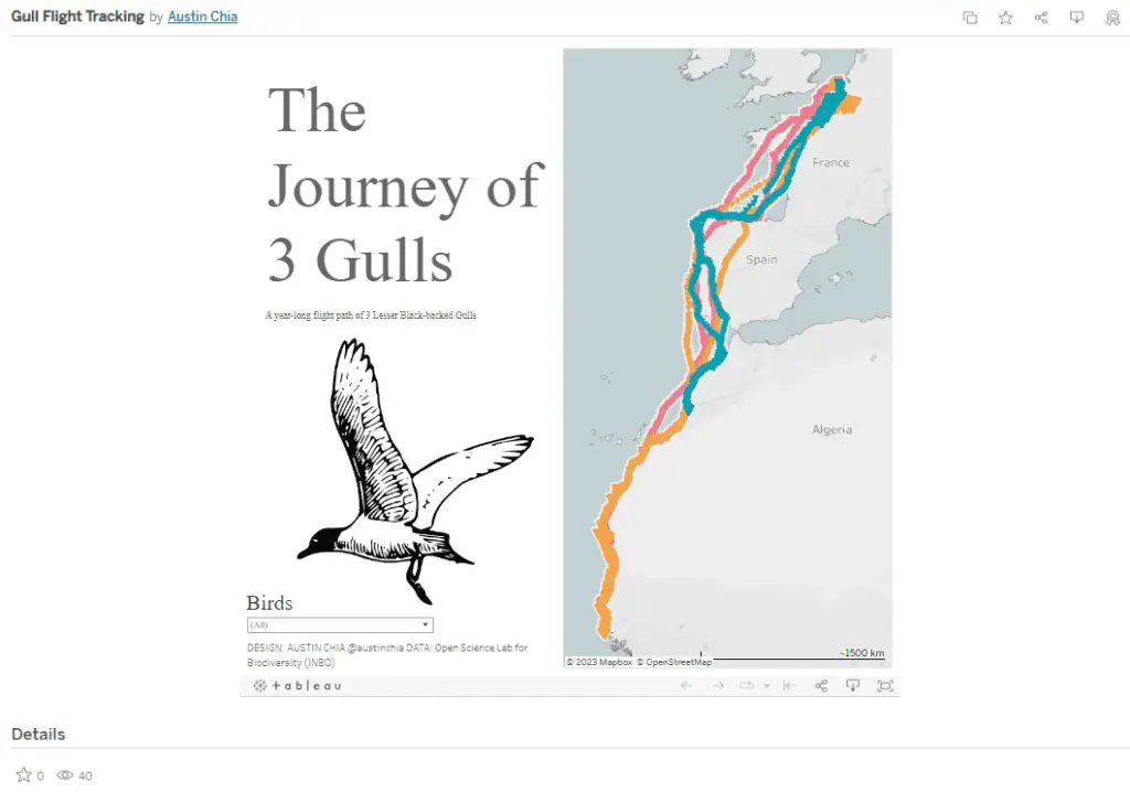 bird migration data visualization