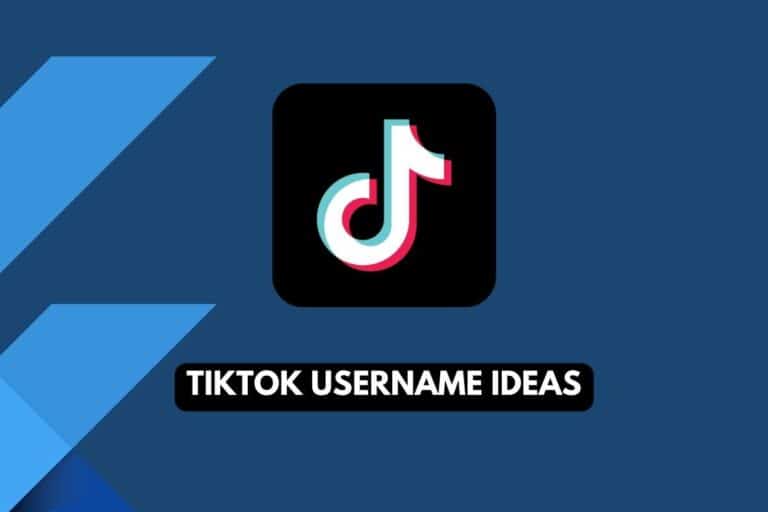 103+ Best TikTok Username Ideas (Unique, Clever & Aesthetic)
