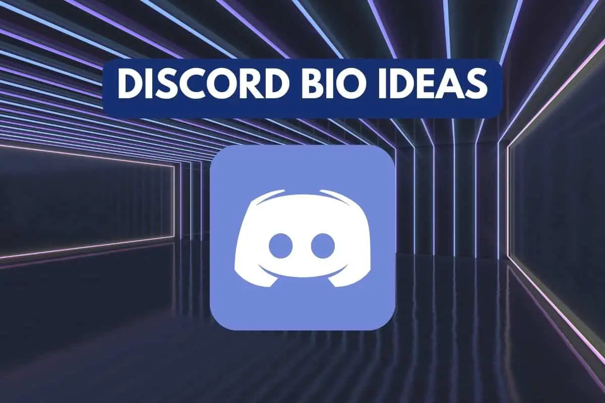 113-creative-discord-bio-ideas-funny-aesthetic